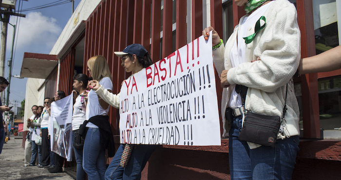 Manifestación realizada en 2014 contra métodos de matanza en CAC's Foto: Cuartoscuro