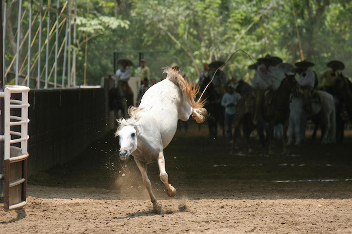 Campeonato nacional sureste Walther Herrera, en 2011. "Los de a caballo" compiten con distintas suertes y sumar puntos para la siguiente contienda. Foto: Cuartoscuro