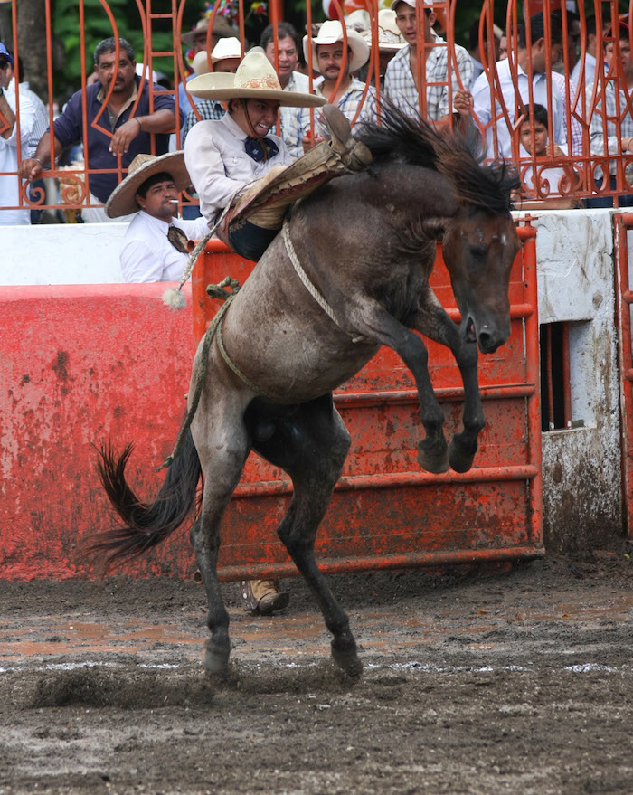 Charro en la celebración del Día Nacional del Charro. Foto: Cuartoscuro
