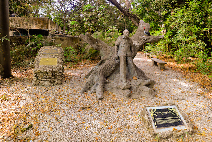 Estatua de Miguel Álvarez del Toro, fundador del ZOOMAT, espacio reconocido por la reproducción y crianza de quetzales. Foto: Especial