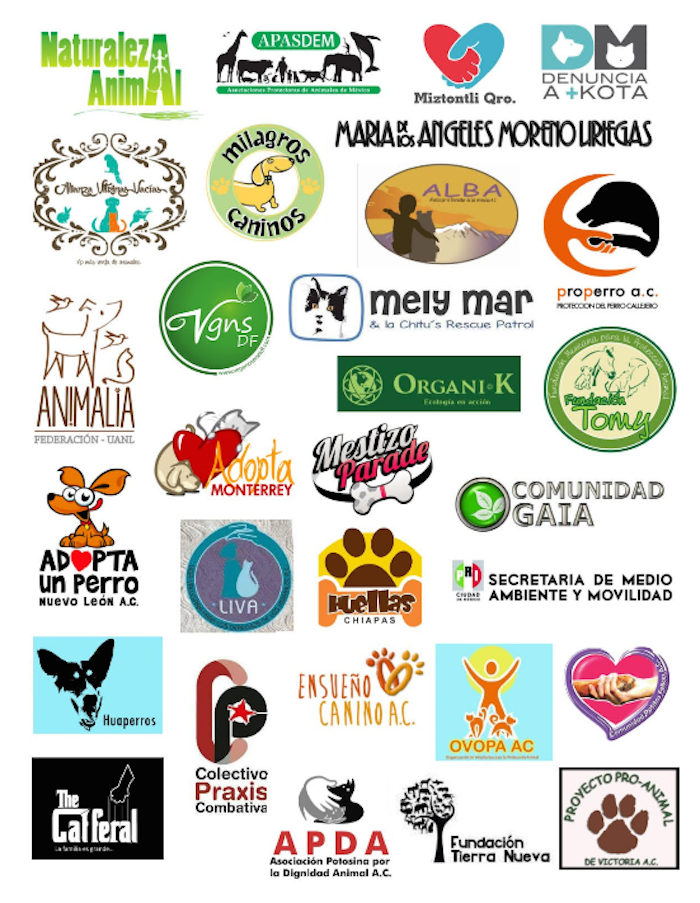 Maskota anuncia acciones contra maltrato animal; activistas piden reunión  con directivos