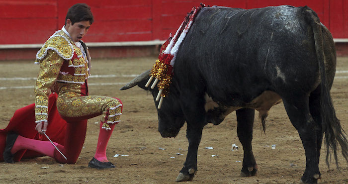 Toros, destacada