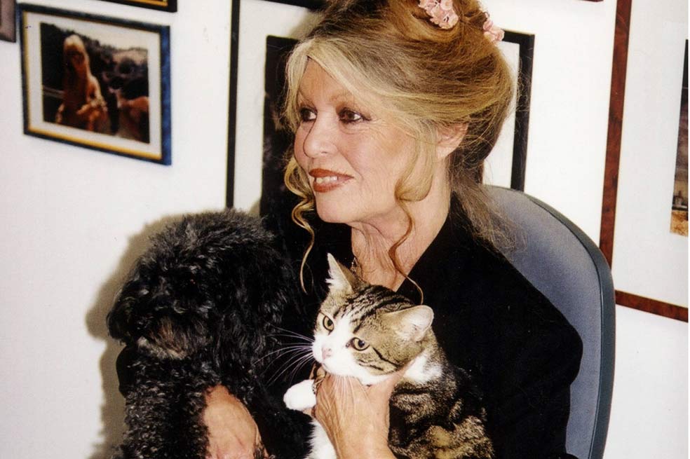 Brigitte Bardot pide se sesuspenda plan para sacrificar a unos 2 millones de gatos salvajes en Australia