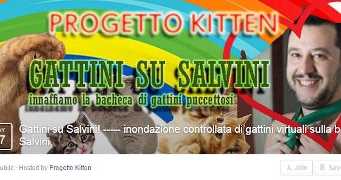 Progetto Kitten invitó a sus participantes a que inundaran la página de Facebook de Salvini con imágenes de gatos y gatitos. Foto: Facebook