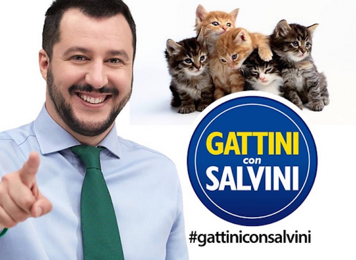 El flashmob gatuno tuvo lugar el 7 de mayo, pero se pudo ver a muchos otros gatos en los comentarios a las publicaciones del político incluso después de esa fecha. Foto: Facebook.