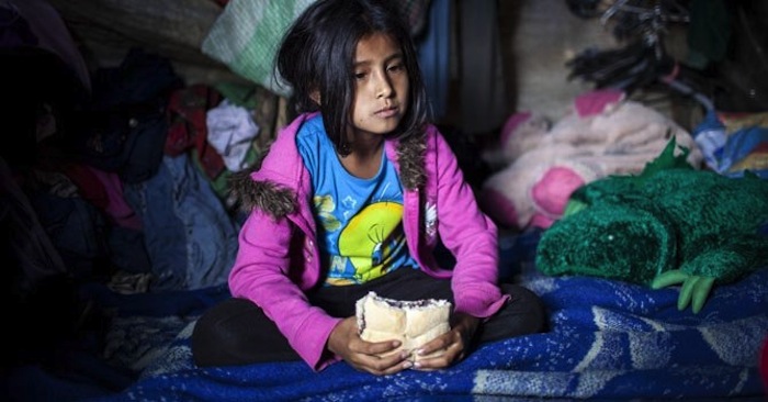 El futuro de nueve mil millones de personas podría estar en riesgo si no se asegura la alimentación en los años venideros. Foto: EFE