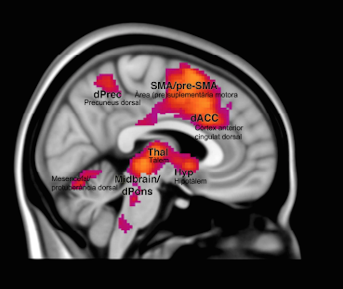 Foto: Hospital del Mar