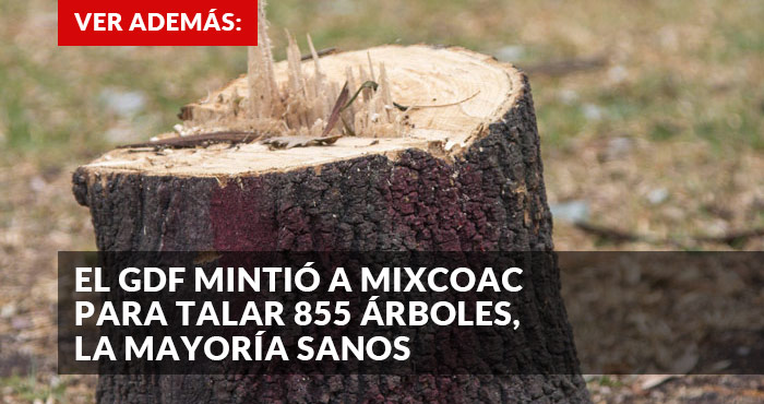 mixcoac_promo