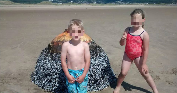 La familia quedó en shock al enterarse que la playa había sido clausurada para hacer detonar una mina de 70 años de antigüedad. Foto: Twitter