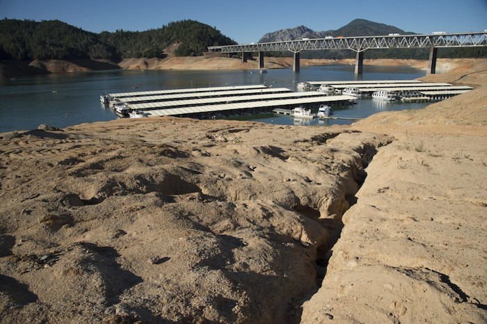 California entra en su cuarto año de sequía severa, la falta de agua tiene los campos arroceros en reducción.  Según la Comisión Rice California, 434 mil hectáreas de arroz se plantaron en 2014 en comparación con 567 mil en el año anterior. Foto: EFE