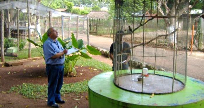 Una inspección de la Profepa en 2001 tabmién detectó sobrepoblación de picaríes Foto: unionyucatan.mx