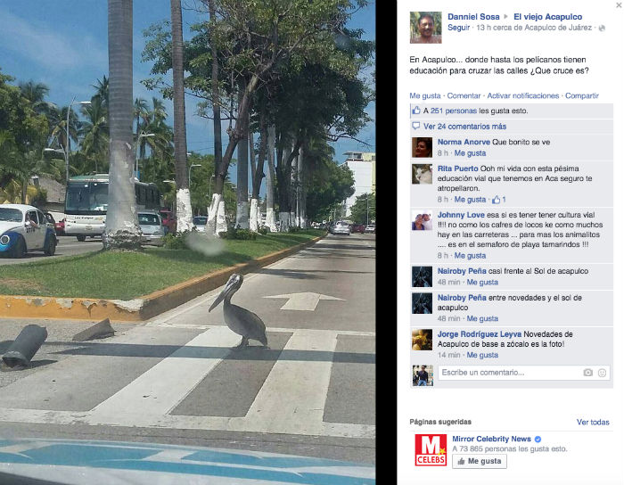 La imagen tomada por Sosa desde el interior de su vehículo, fue publicada la noche del miércoles. Foto: Facebook