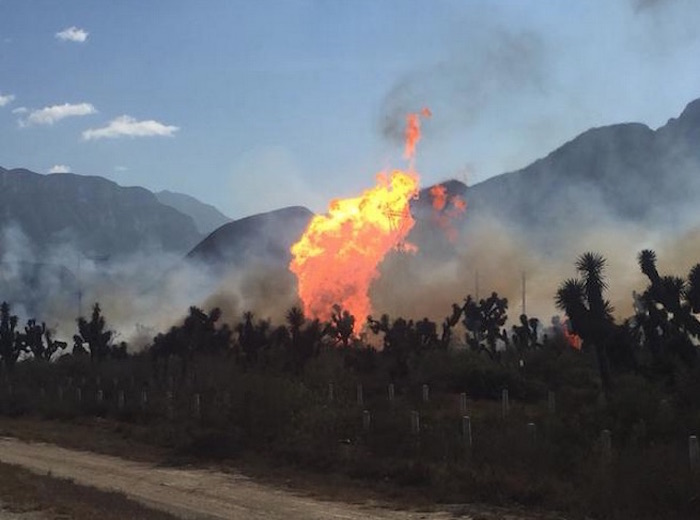 Las llamas del siniestro y la columna de humo pudieron ser vistas a varios metros de distancia. Foto: Vía Twitter @pcsantacatarina
