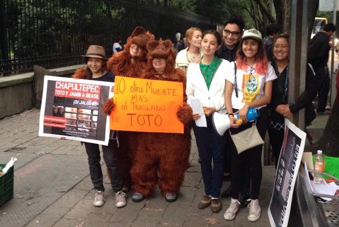 Diversas personas acudieron a la entrega de firmas del PGS a las autoridades para liberar a Toto. Foto: Facebook PGS México