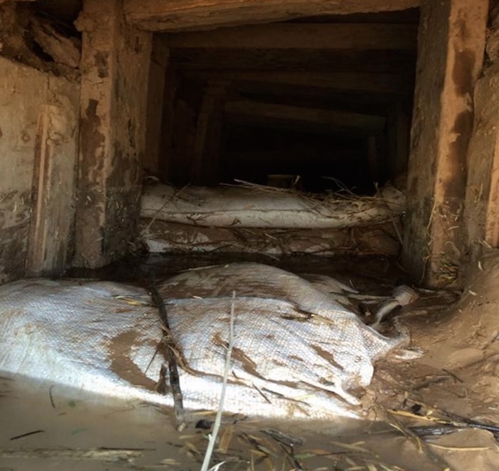 El detenido se declaró culpable de transportar 25 kilos de cocaína por narcotúnel. Foto: Zeta