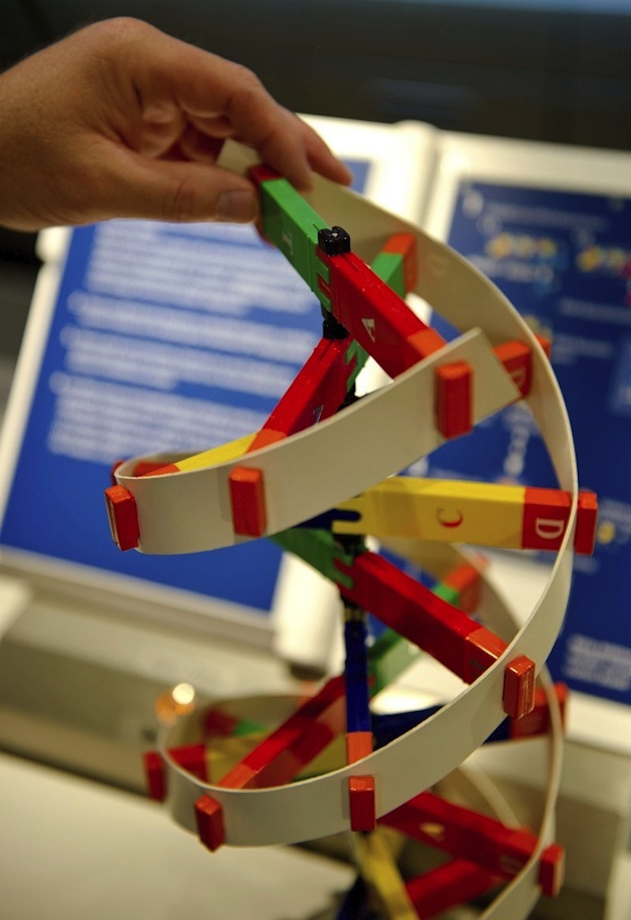 La manipulación del ADN con resultados controlados pude ser impulsar mejores investigaciones. Foto: EFE