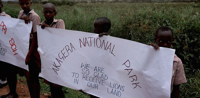 Uno grupo de niños da la bienvenida a los leones. Foto: Mathew Poole