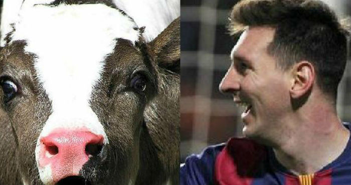 La anciana, una gran aficionada al fútbol, vive sola en una casa de madera en una aldea llamada Chartali, donde cuida de su vaca y de su ternero Messi. Foto: Especial