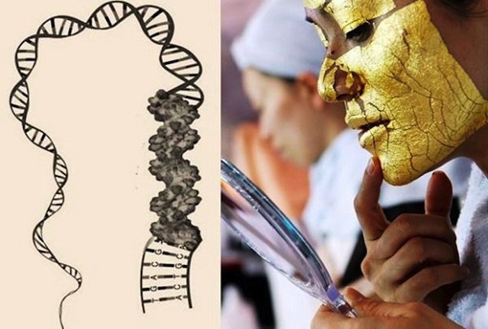 Las investigaciones genéticas están estrechamente ligadas con otras ramas de la ciencia como la salud. Foto: EFE