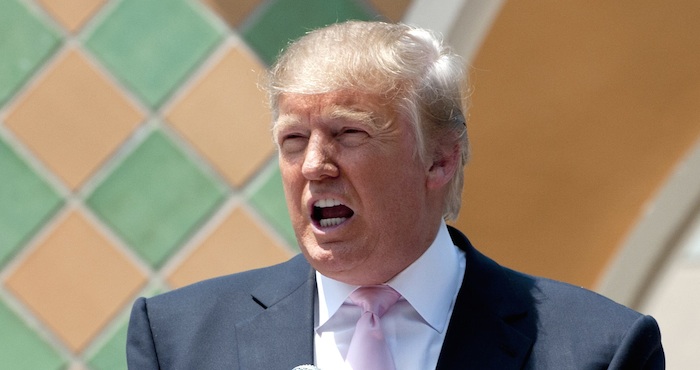 El magnate que aspira a dirigir la máxima potencia mundial. Foto: EFE.