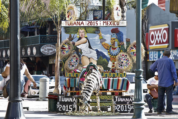 PROPONE ORGANISMO DE TIJUANA DESAPAREZCA ICONO DE ¨BURROS-CEBRAS¨