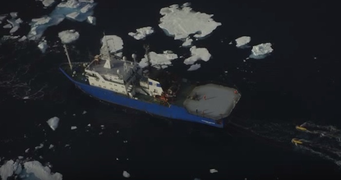 Foto: Captura de pantalla de video de Greenpeace