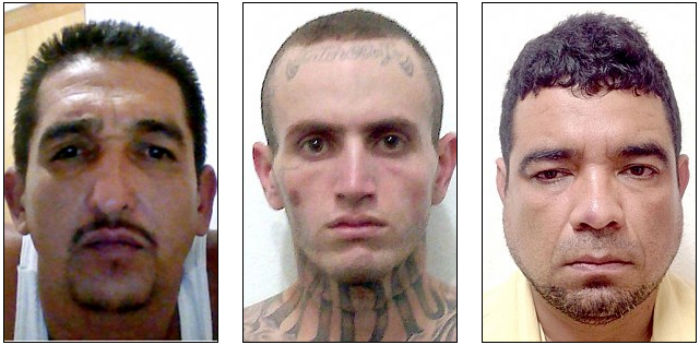 Foto (izquierda a derecha): Rogelio "El Tyson" Franco, Sergio "El Scar" Beltrán y Pedro "El Peter" Cisneros.