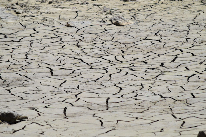 Diversos expertos en el Encuentro indicaron el descuido del Gobierno en el tema del cambio climático. Foto: Cuartoscuro