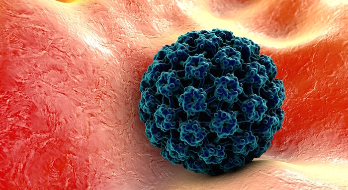 Las vacunas son la forma más efectiva de prevención. Foto: Shutterstock