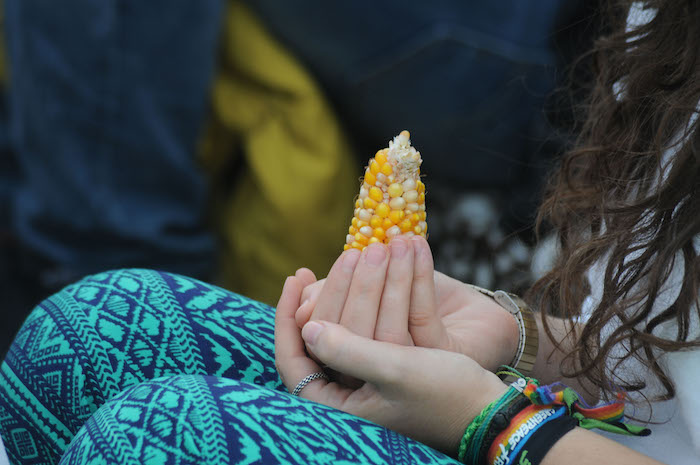 México en defensa del maíz Esta omisión pudo haber afectado la decisión de dicho tribunal de apelación, dijo Sánchez Galindo. Foto: Cuartoscuro