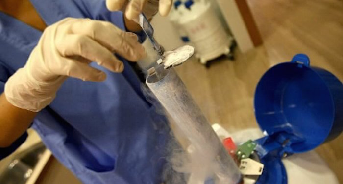 Reproducción asistida Foto: EFE