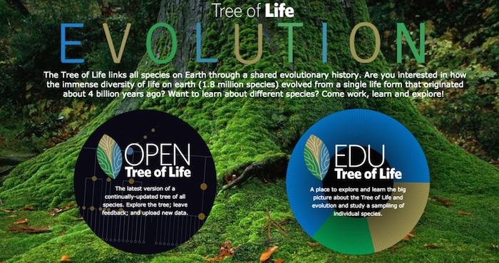 El árbol genealógico de todas las especies en el mundo. Foto: Captura de pantalla.