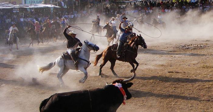 Ernesto Maurin asegura que a los torneos de lazo acuden menores de edad y los jinetes llegan a montar en estado de ebriedad. "Es una fiesta de borrachos", añade Larios. Foto: Andreshiro/Flickr