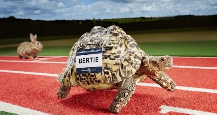 Bertie rompió el anterior récord impuesto en 1977. Foto: EFE