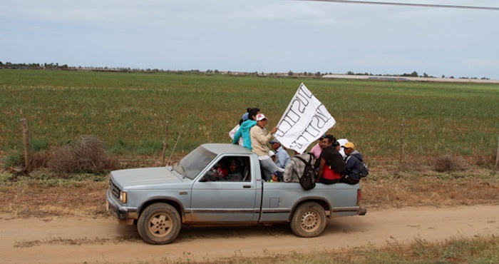 Jornaleros de San Quintín. Foto: Cuartoscuro.