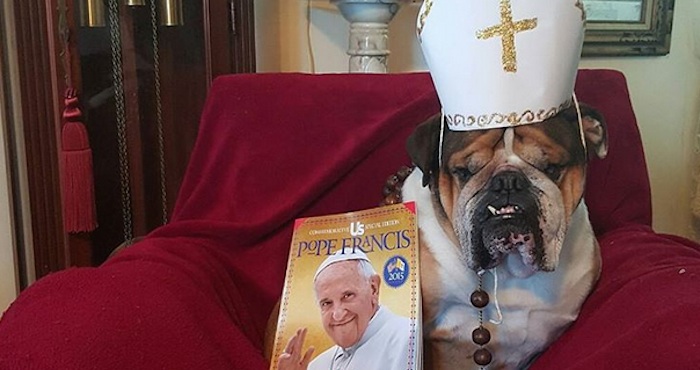 Usuarios de Instagram subieron las fotos de sus perros disfrazados del Papa tras su visita a EU. Foto: Instagram