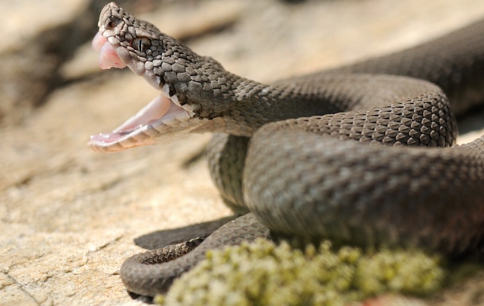 Foto: www.shutterstock.com