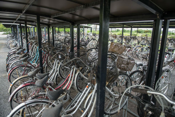 Bicicletas abandonadas. Foto: ARKADIUSZ PODNIESINSKI / REX SHUTTERSTOCK