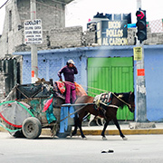 En Chimalhuaca?n prevalece el uso de animales de tiro para la recoleccio?n de la basura. Los li?deres de los pepenadores son un aute?ntico coto de poder. Foto: Humberto Padgett, Sinembargo