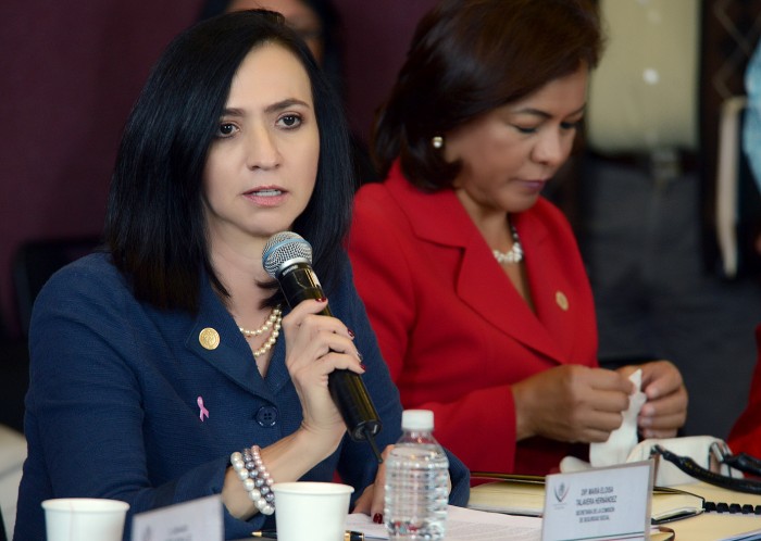 La Diputada Eloísa Talavera, del PAN, denunció que el Gobierno federal quiere gastar el sobrante de los impuestos en elecciones. Foto: Especial