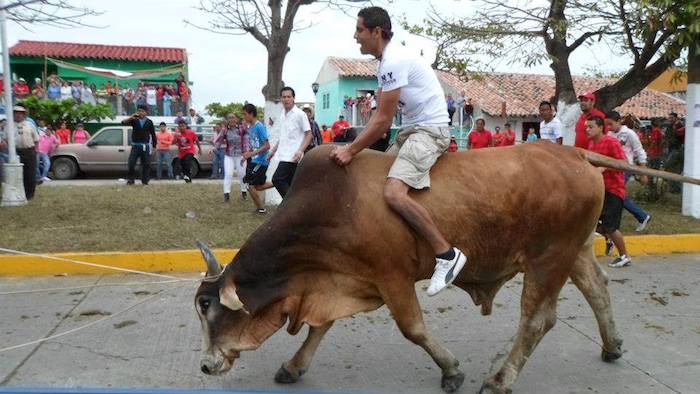 Desde el 2014 las autoridades municipales se comprometieron a no volver a incurrir en maltrato animal. Foto: Facebook / Unidos Contra El Embalse De Toros En Tlacotalpan Veracruz