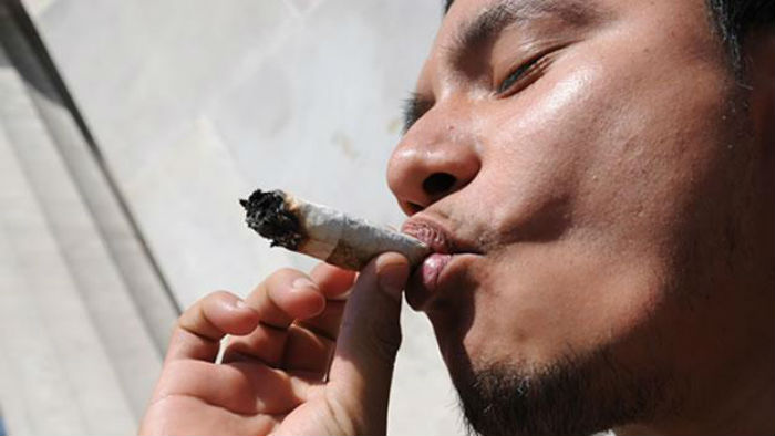 En el país, según la Encuesta Nacional de Adicciones 2011 en lo que se refiere a drogas ilícitas, la mariguana sigue siendo la de mayor consumo con un porcentaje de 80 por ciento del total de drogas. Foto: Cuartoscuro