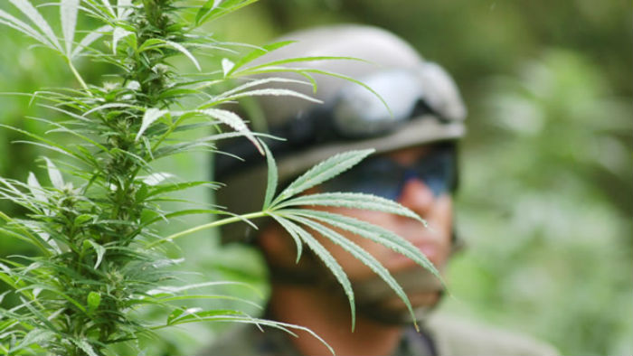 Un estudio del Centro de Investigación y Docencias Económicas (CIDE), encontró que el gobierno del presidente Felipe Calderón dilapidó recursos del área de procuración de justicia "en casos que no reducen la violencia, sobre todo porque se ha centrado en consumidores de drogas o en vendedores de bajo perfil". Foto: Cuartoscuro