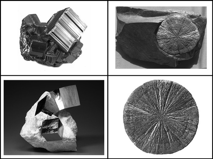 La pirita en forma de disco se creo hace 300 millones de años. Foto: Dmitry Morozov