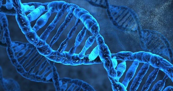 El ADN ayuda a determinar la evolución del cáncer. Foto: Shutterstock