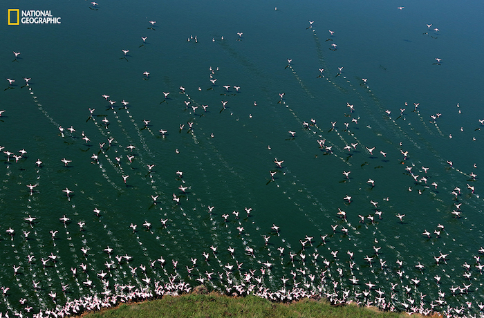 Foto: Yu Huiping /2015 National Geographic Photo Contest