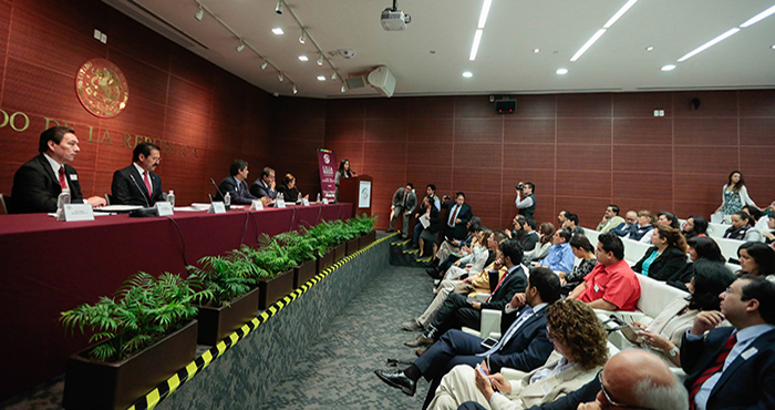 Los impulsores de la propuesta de ley aseguran que aunque ésta no dota de derechos a los animales, sí los protege. Foto: Senado de la República