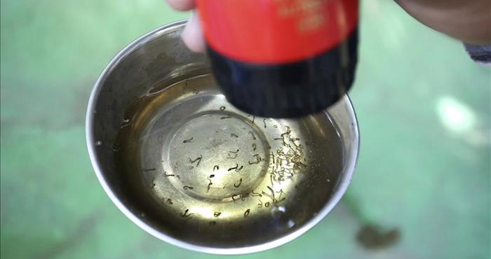 México reporta el primer caso del virus Zika. Foto: EFE