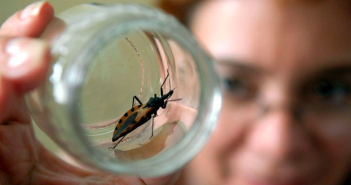El Chagas mata en silencio y está asociada a otras patologías. Además es una enfermedad ignorada y olvidada, porque sus síntomas pasan desapercibidos hasta que sus efectos resultan irreversibles. Foto: Notimex