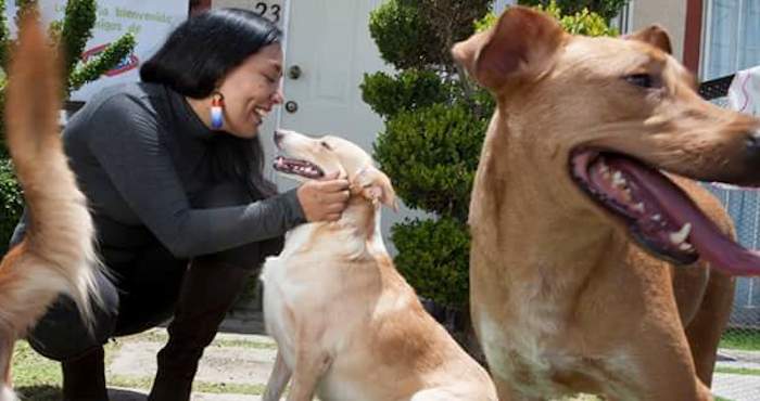 Nancy Zamudio Foto: Canes Can